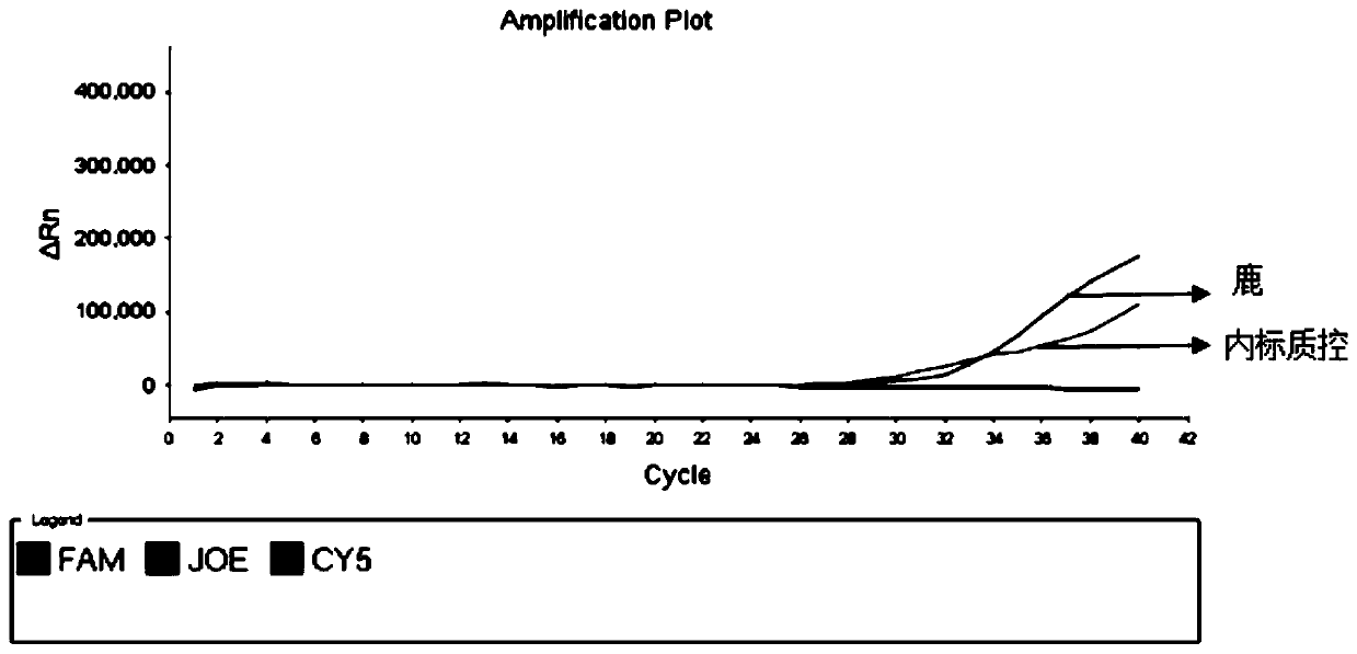 A kind of multiple fluorescent PCR detection primers, probes, kits, detection method and application of deer and bovine origin in deer horn glue