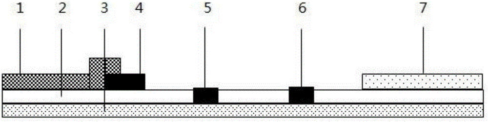 Salmonella nucleic acid rapid detection kit, test strip and detection method