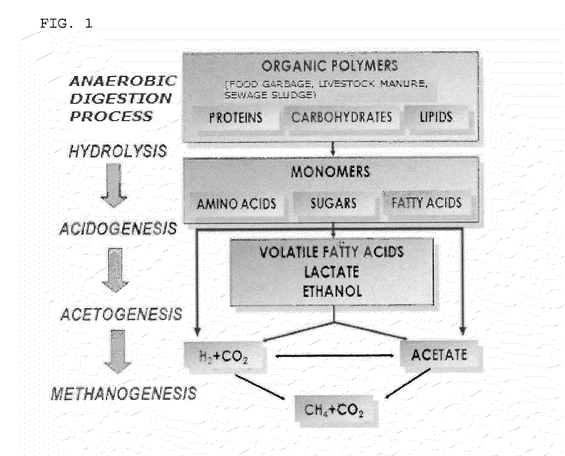 Method for Promoting Production of Biogas Using Pancreatin in an Anaerobic Digestion Process