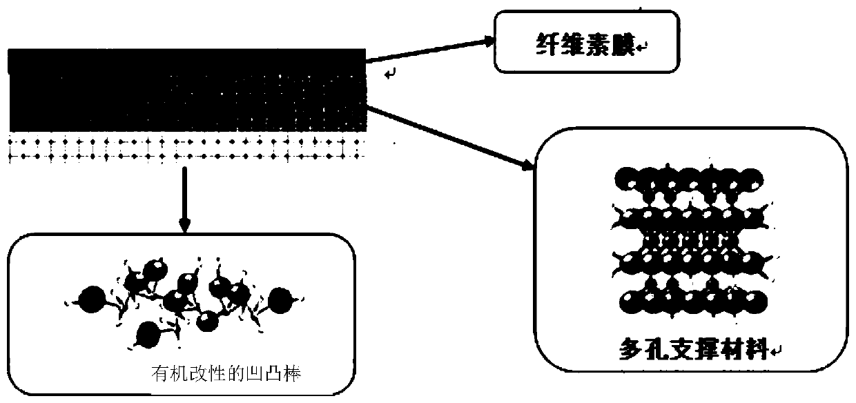 A preparation method of double-skin forward osmosis membrane material using attapulgite as porous support material