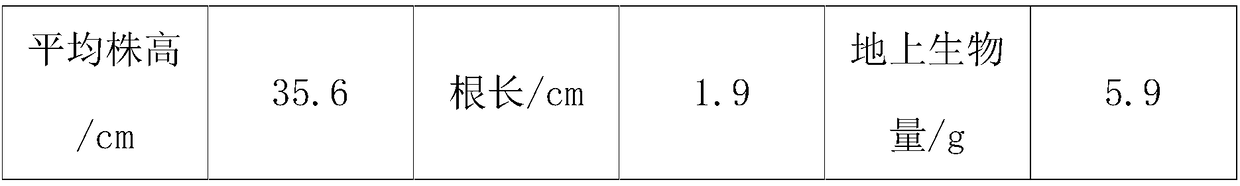 Method for planting and greening of tailing bymicrobial agent and modifier