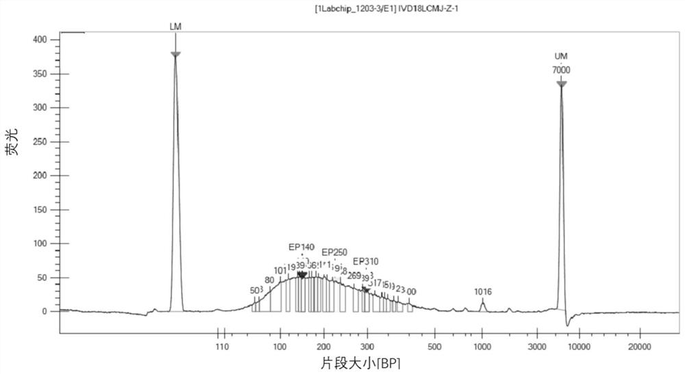 Enhancer for extracting free circulating tumor dna, kit and method for extracting free circulating tumor dna in peripheral blood