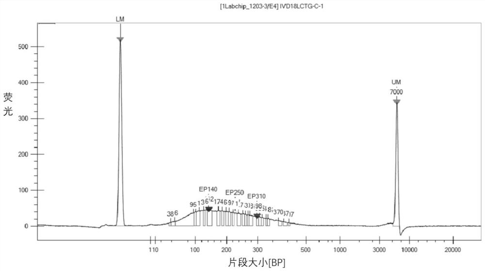 Enhancer for extracting free circulating tumor dna, kit and method for extracting free circulating tumor dna in peripheral blood