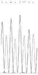 Detection method of gene related to alcohol metabolism