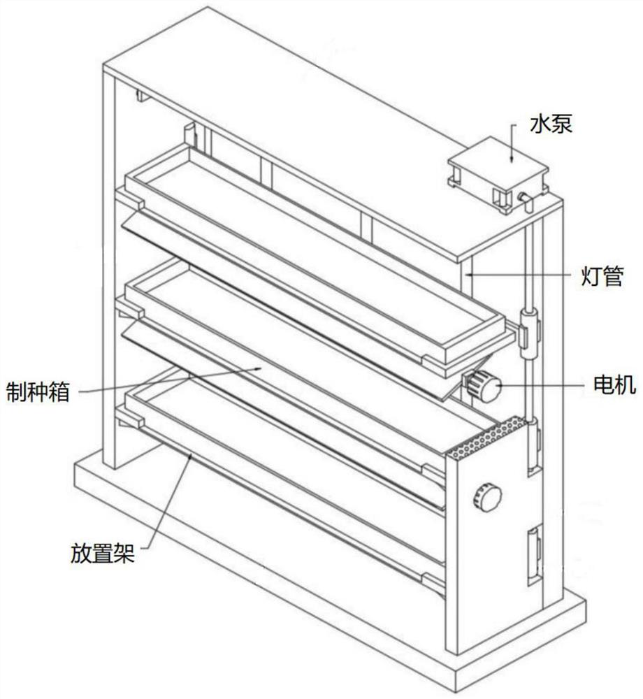 Hybrid brassica chinensis seed production process and equipment