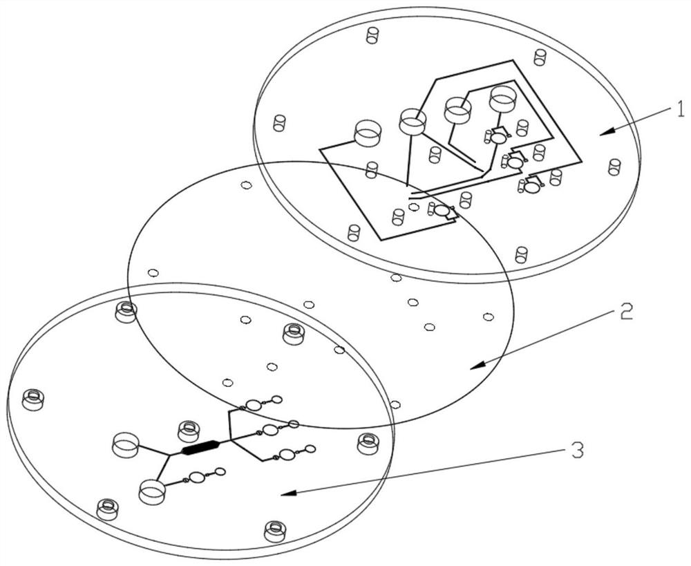 Micro fluidic chip for nucleic acid detection