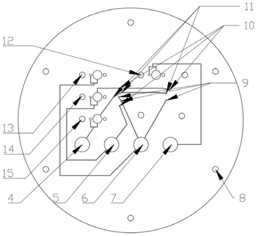 Micro fluidic chip for nucleic acid detection