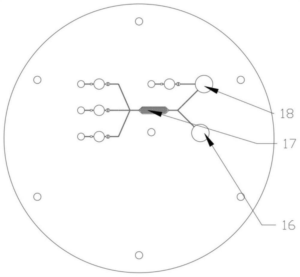 Micro fluidic chip for nucleic acid detection