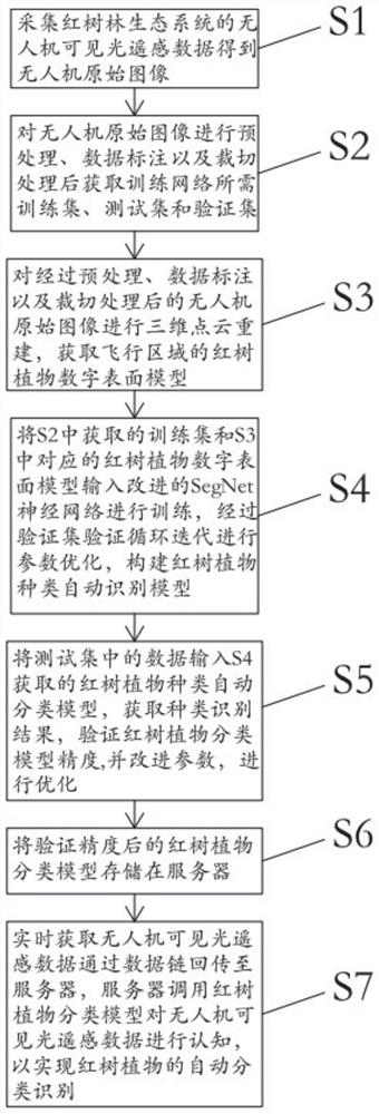 Mangrove plant automatic identification method based on unmanned aerial vehicle visible light remote sensing