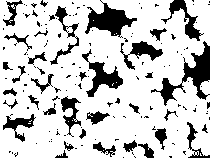 Preparation method of lithium titanate negative electrode material with micro-nanostructure