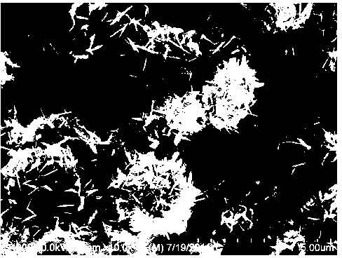 Preparation method of lithium titanate negative electrode material with micro-nanostructure