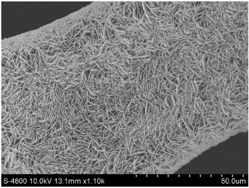 Method and application for synthesizing cheap nickel-iron nanosheet array high-efficiency electrocatalyst at normal temperature and normal pressure