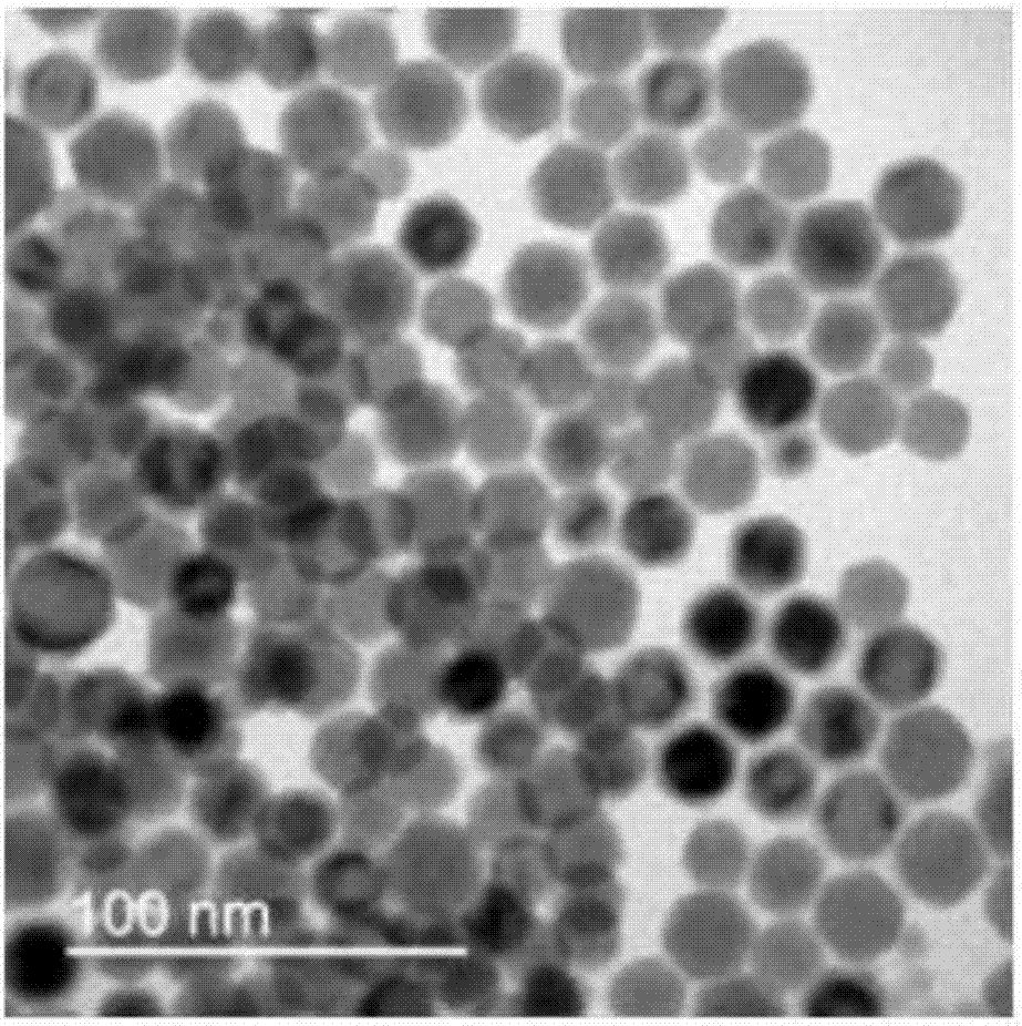 Preparation method of photocatalyst based on monodisperse elemental bismuth and carbon nitride