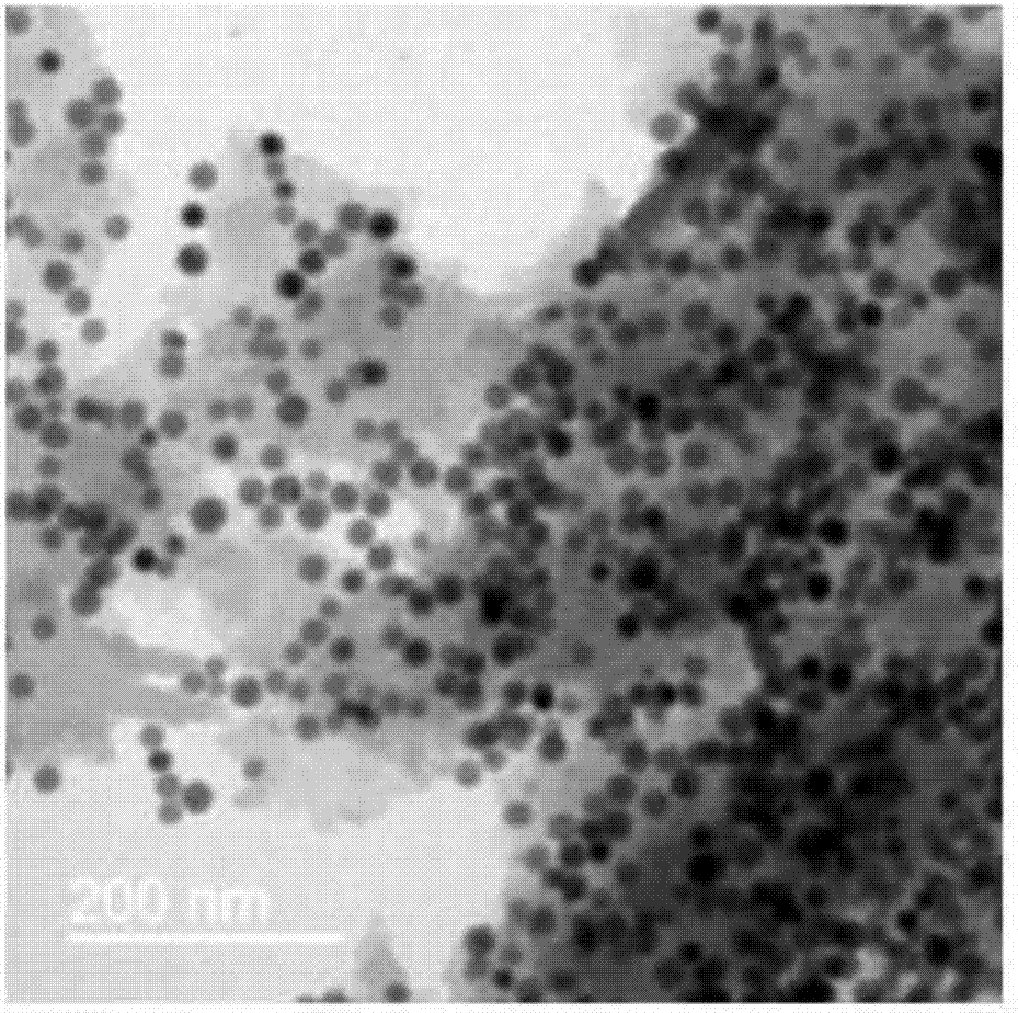 Preparation method of photocatalyst based on monodisperse elemental bismuth and carbon nitride