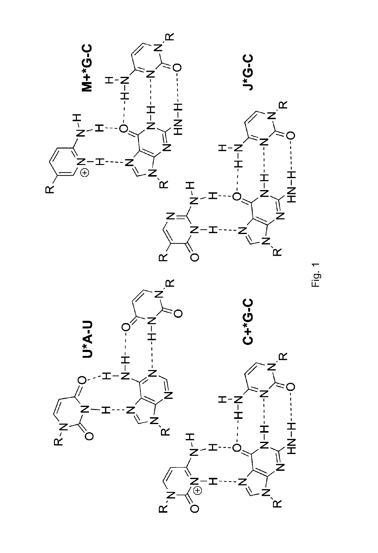 Compositions and methods for recognition of RNA using triple helical peptide nucleic acids