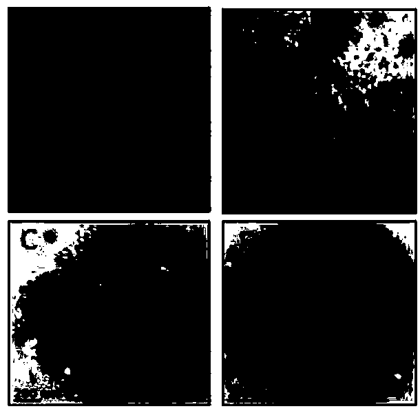 Composite siRNA nanocarrier and preparation method and application thereof