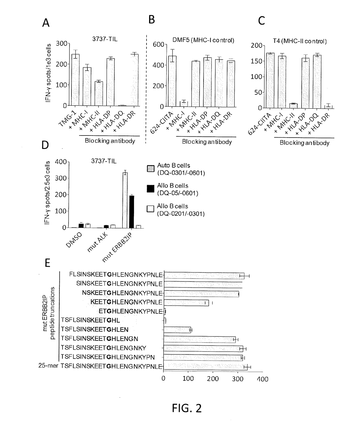 Methods of isolating t cells having antigenic specificity for a cancer-specific mutation