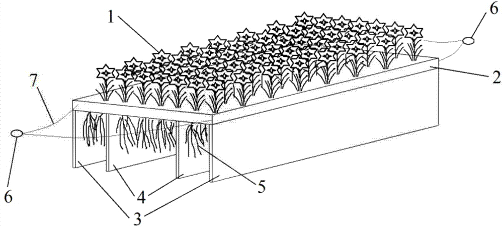 Flow-guide type ecological floating bed suitable for high-flow-speed water body