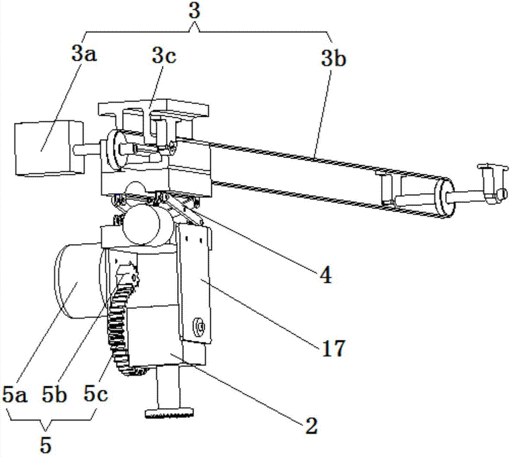 Three-dimensional pruner for ornamental trees