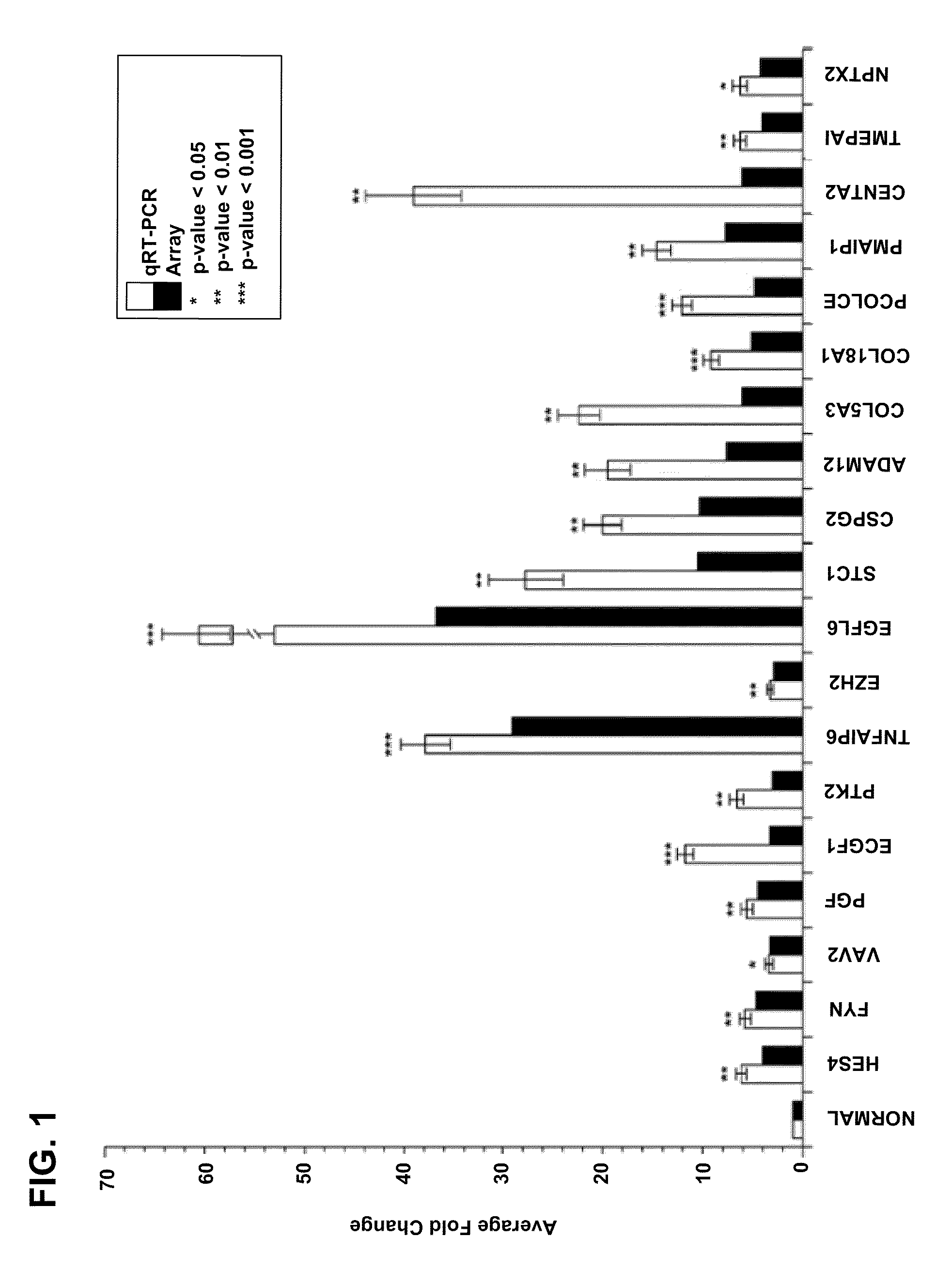 Pro-angiogenic genes in ovarian tumor endothelial cell isolates