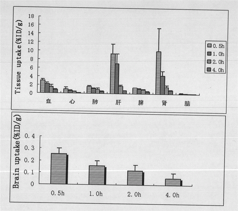 Benzamide analog mediated brain-targeting delivery system