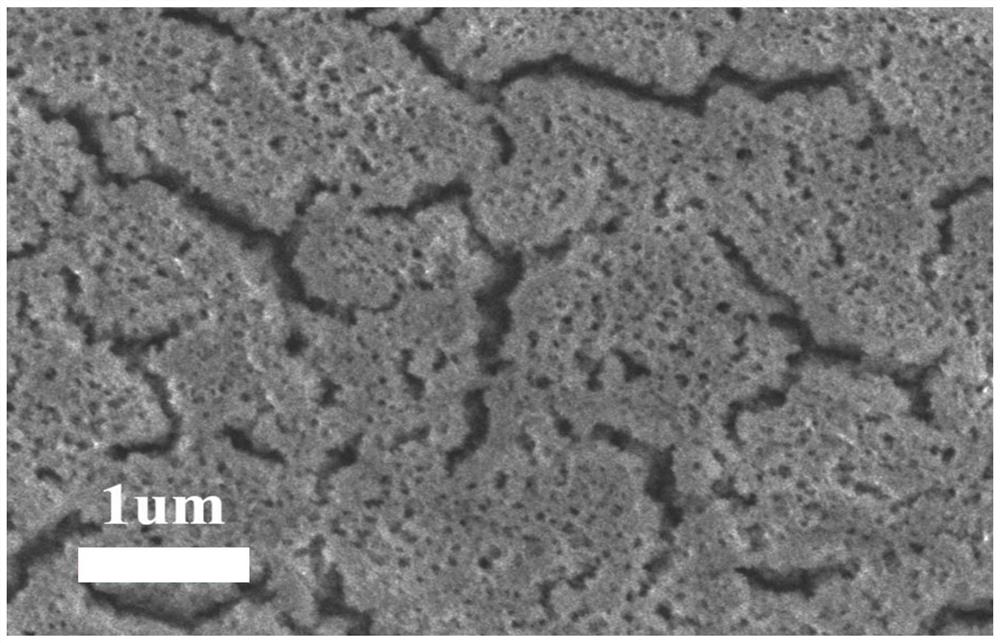 Integrated transition metal-based oxygen evolution catalytic material and preparation method