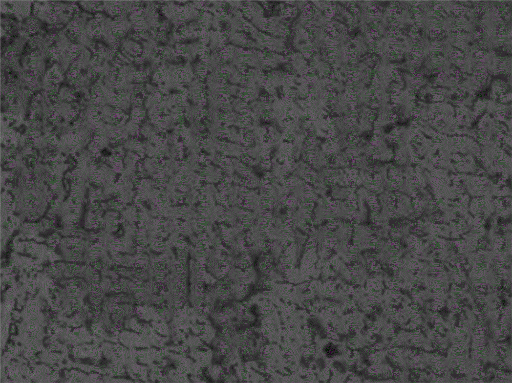 Metallographic corrosive liquid used for 304L stainless steel and preparation method and corroding method thereof