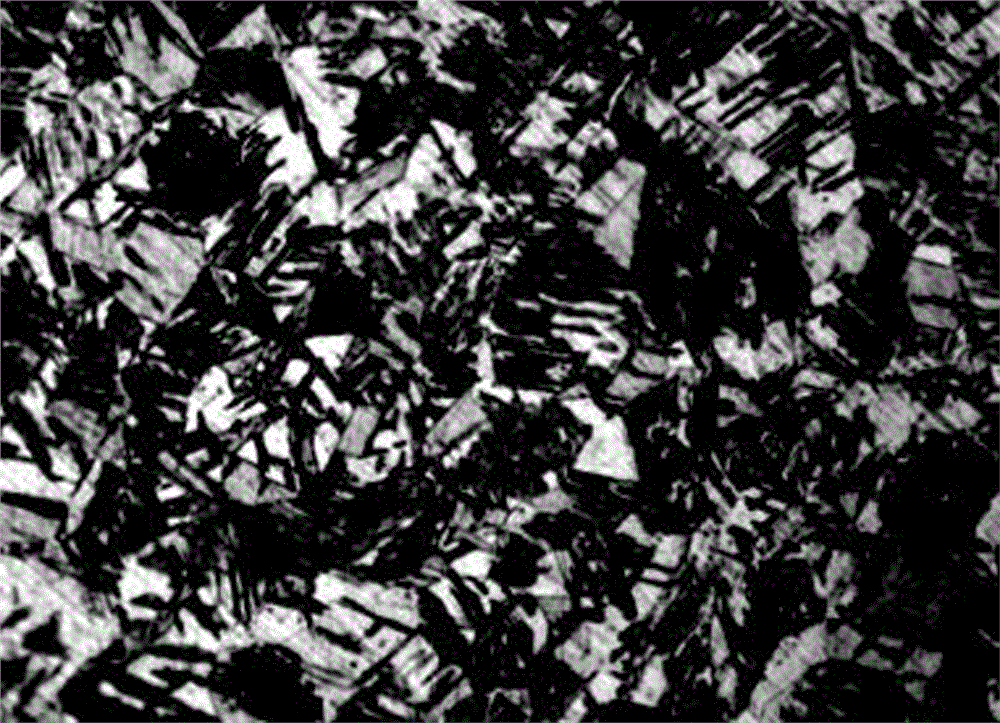 Metallographic corrosive liquid used for 304L stainless steel and preparation method and corroding method thereof