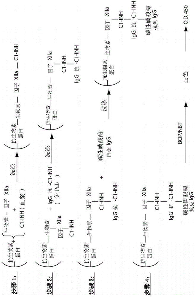 Evaluation, assays and treatment of PKAL-mediated disorders