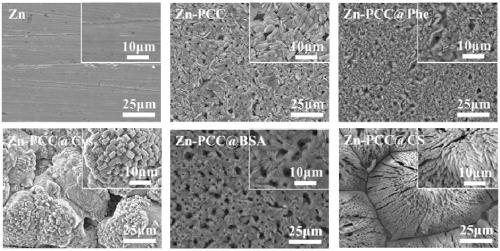 Organic inorganic compound flower-like coating and preparation method thereof