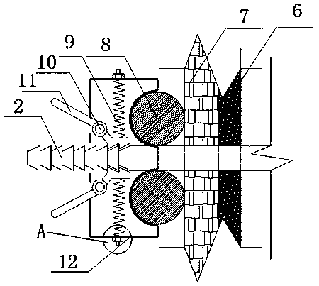 Clamp for template reinforcing