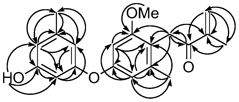 A kind of diphenyl ether compound and its preparation method and application