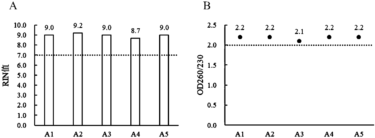 Long-term storage and RNA extraction method of whole blood sample