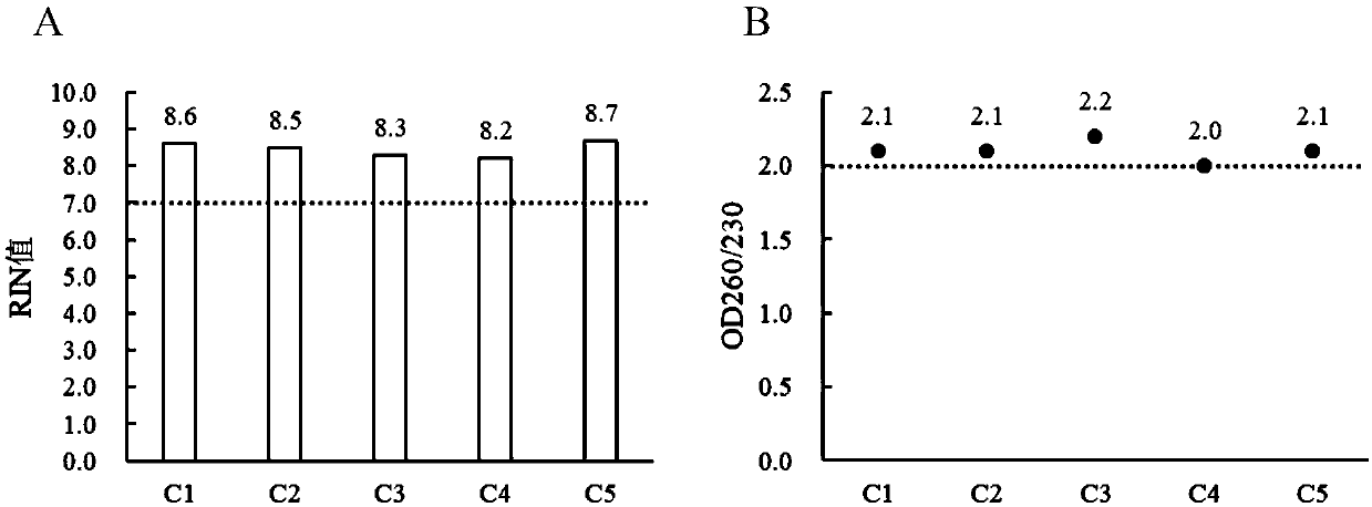 Long-term storage and RNA extraction method of whole blood sample