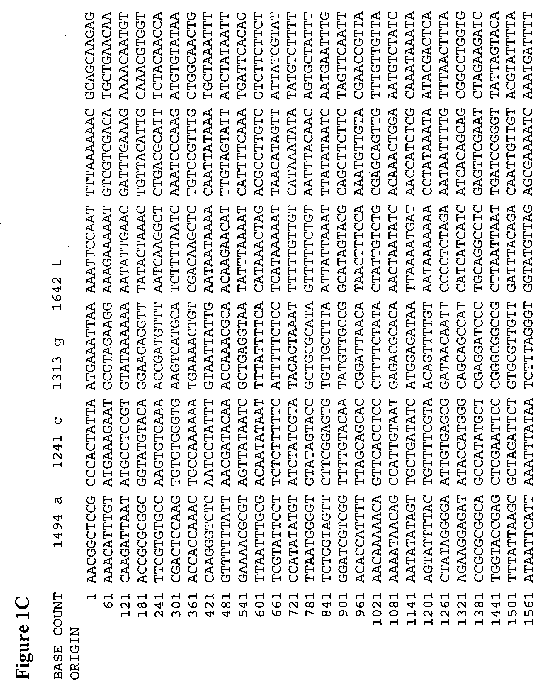 Dual expression vector system and screening methods