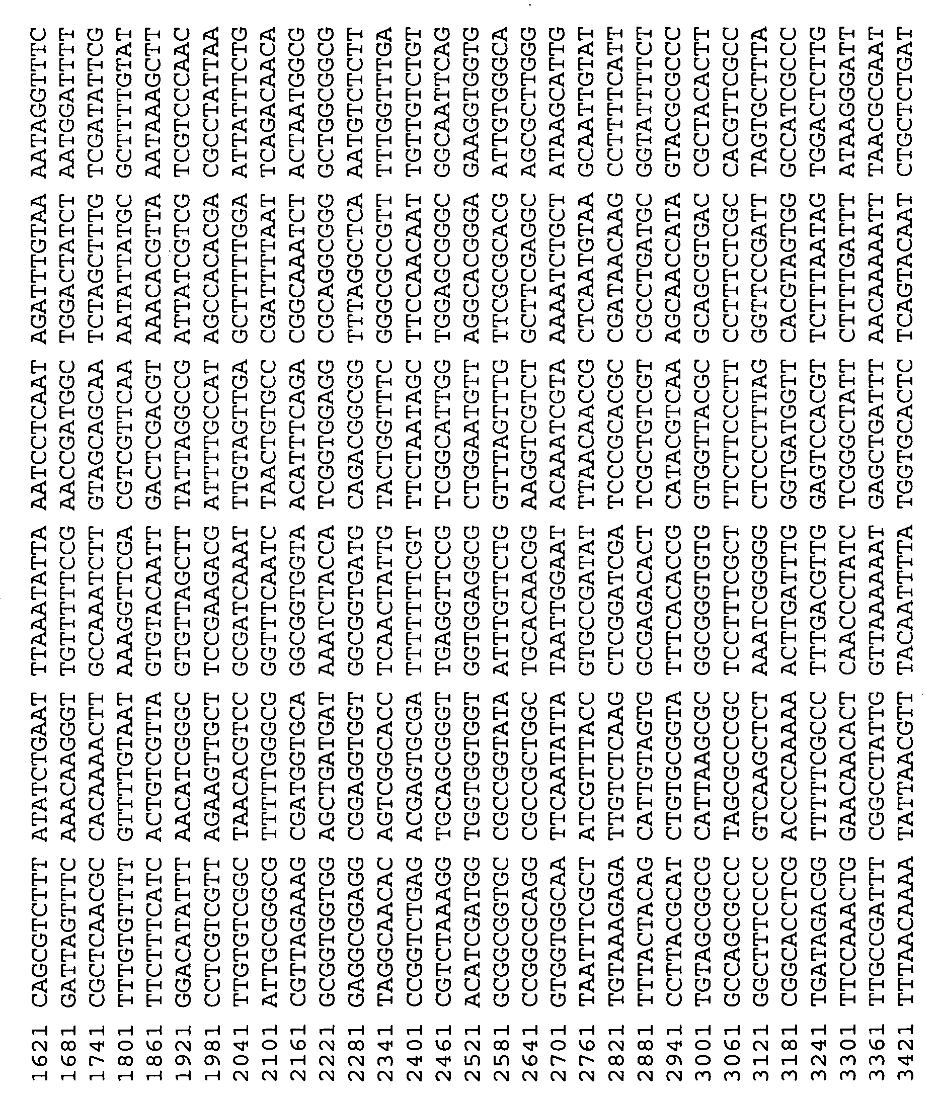 Dual expression vector system and screening methods