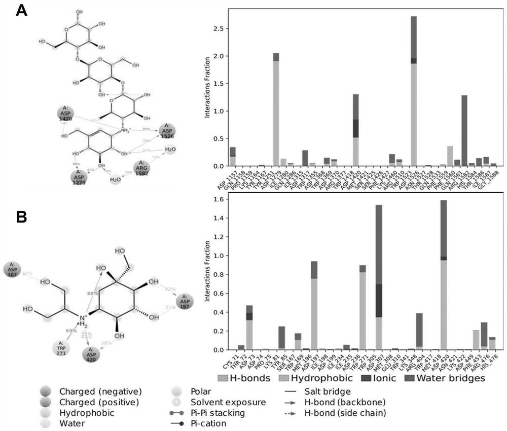 Application of benserazide as alpha-glucosidase inhibitor