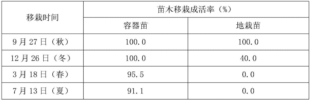 Container seedling raising method and seedling raising substrate for peony for oil