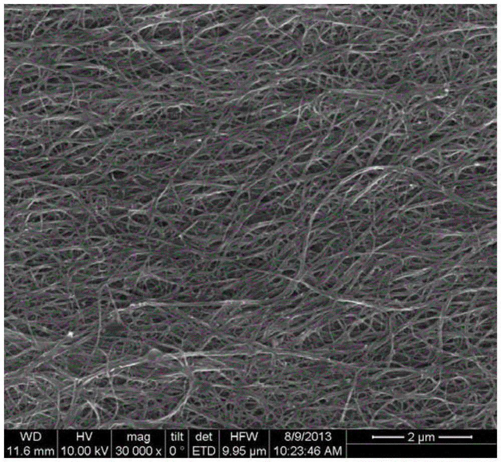 Two-dimensional nano carbon heating body, and flexible electric heating module and preparation method therefor