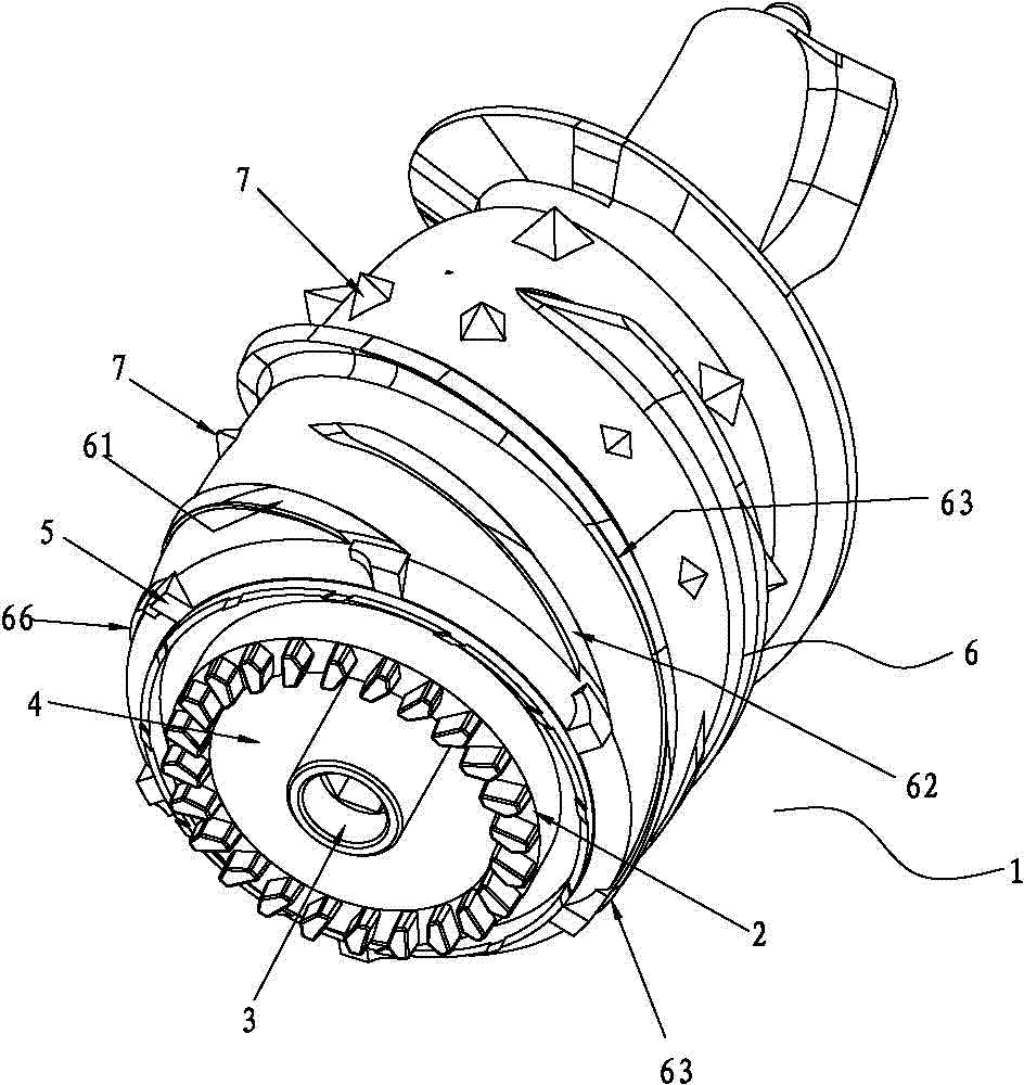 Screw for juice extractor