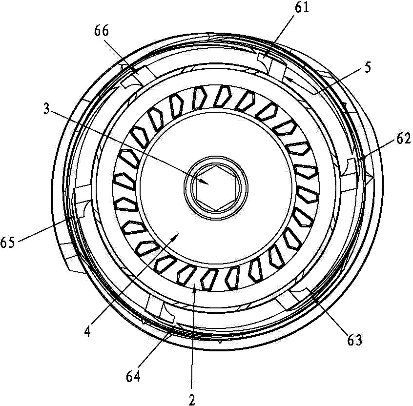 Screw for juice extractor