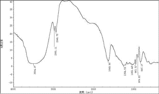 Application of fucoidan sulfate in preparation of drug for preventing and treating chronic obstructive pulmonary disease (COPD)