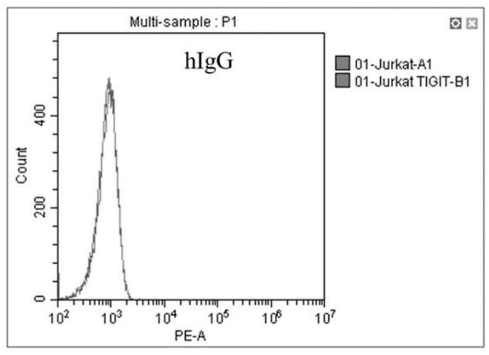 A kind of anti-tigit monoclonal antibody and application thereof