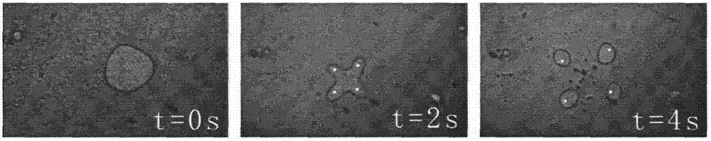 Real-time controllable microdrop arraying device and method based on lithium niobate sandwich structure chip