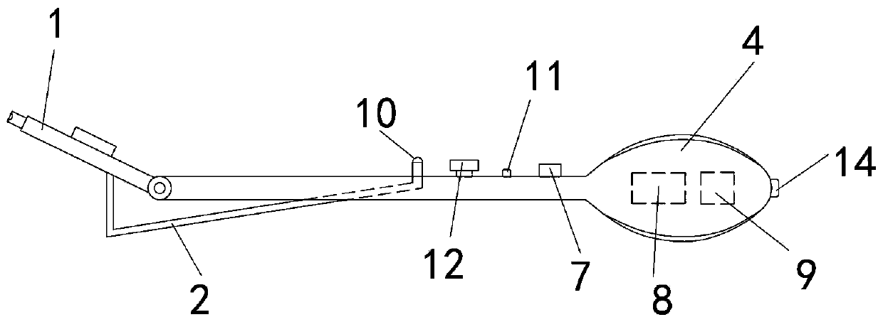 Medical oral cavity detection device