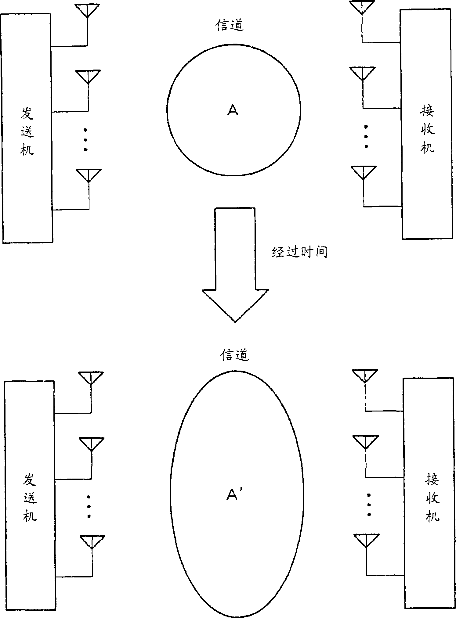 Transmitting/receiving apparatus and transmitting/receiving method