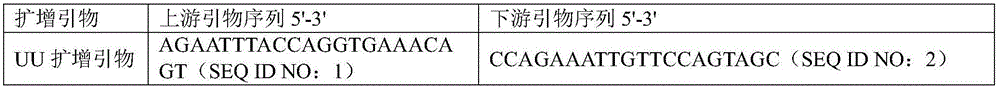 Kit and application thereof in genital tract pathogen proliferation testing