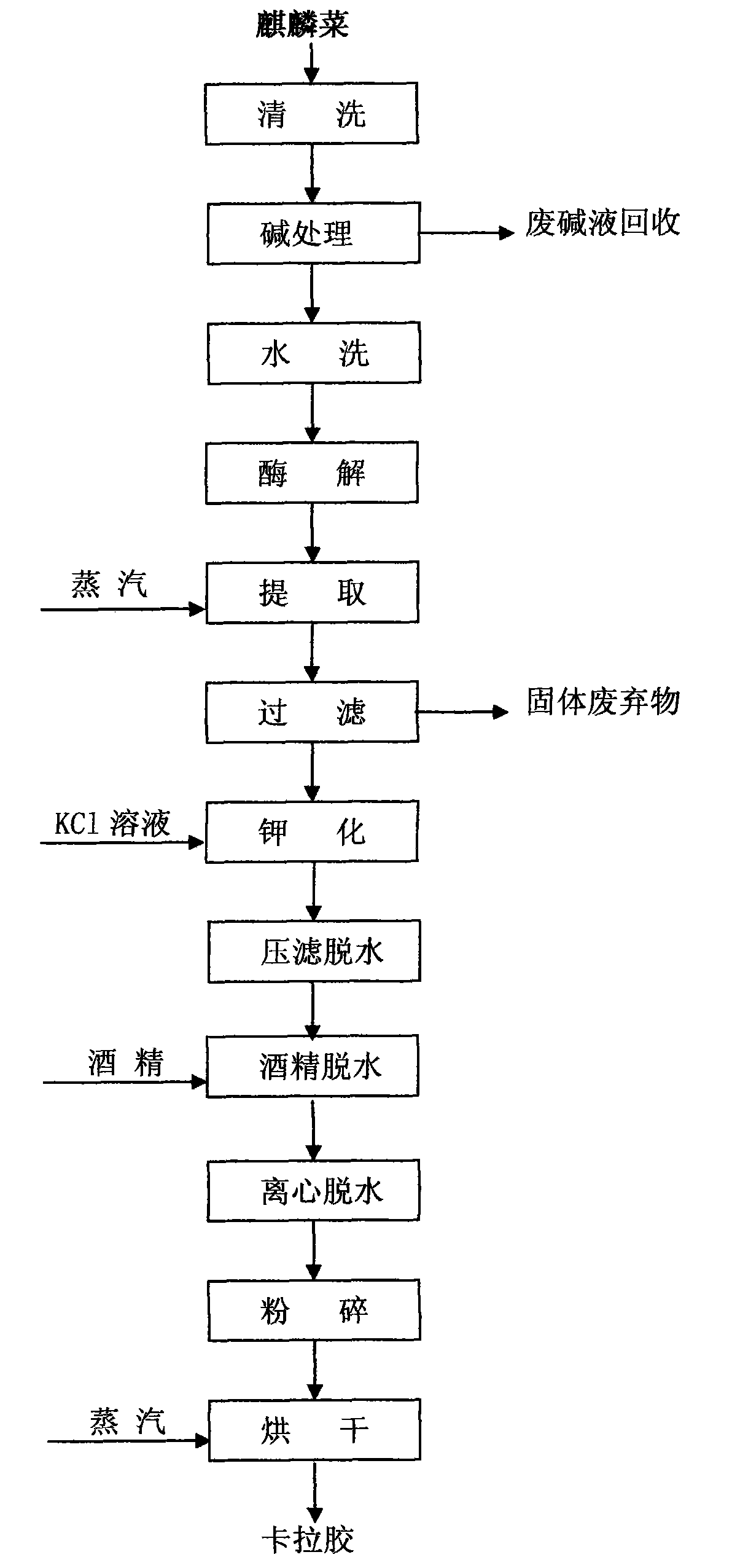 Extracting and processing technique of carrageen