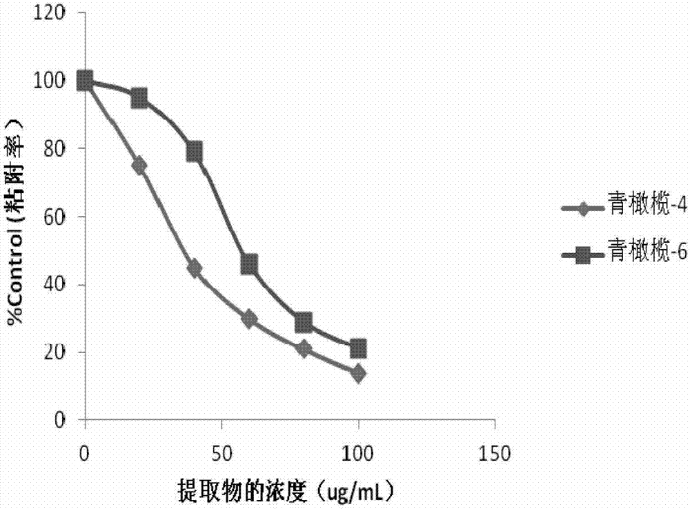 Application of canarium album extract in preparation of medicaments, foods or daily necessities for preventing and treating decayed teeth