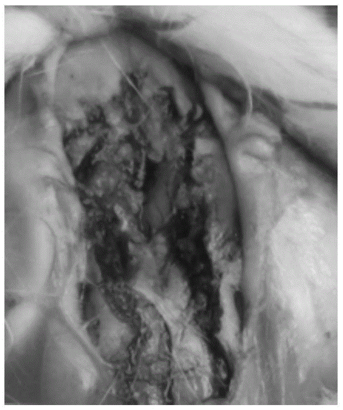 Dural/spinal dural biological patch material, preparation method and application thereof